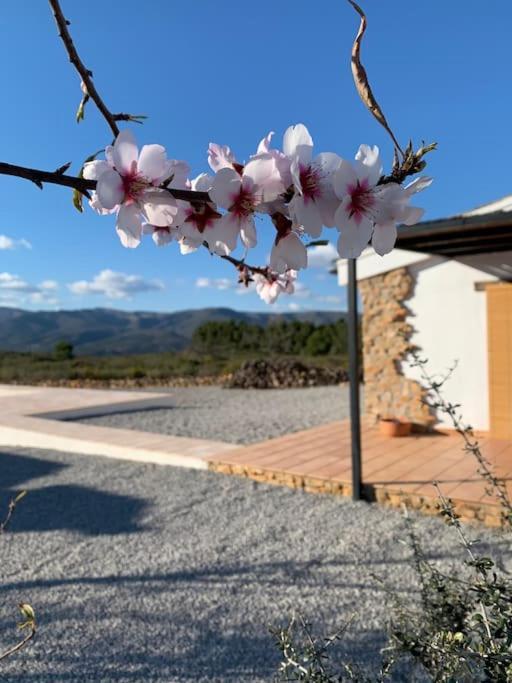 La Llobatera Casa Rural Les Coves de Vinroma Luaran gambar